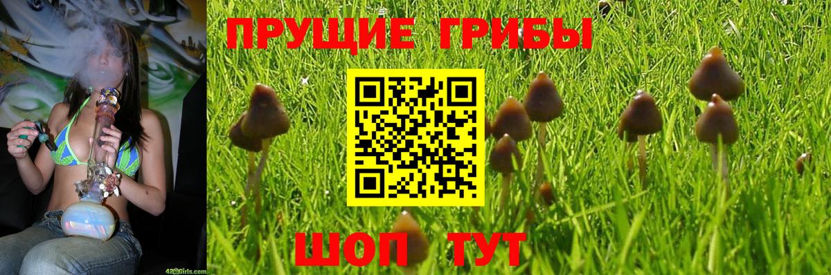 Псилоцибиновые грибы MAGIC MUSHROOMS Советская Гавань